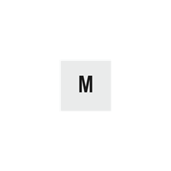 Model M